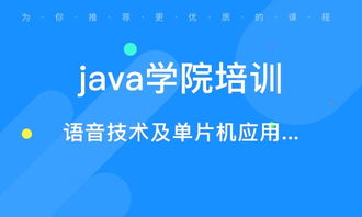 石家庄软件开发培训 机构选择指南与行业排名解析